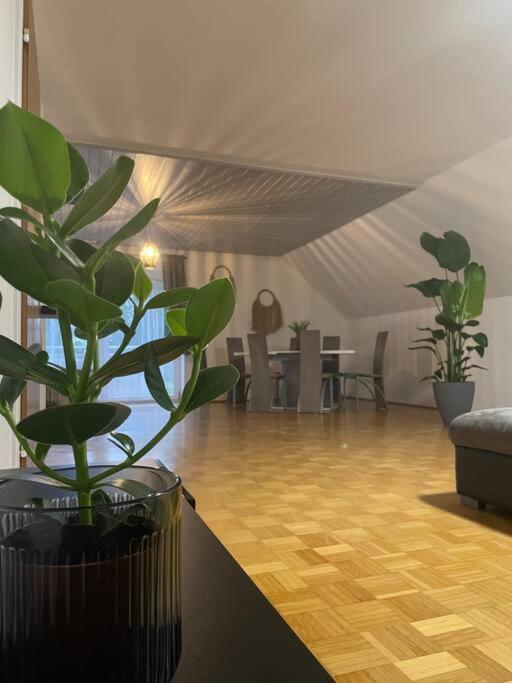 Fewo Boho 110 Qm Mit Bergblick 3 Min Bahnhof Apartment Лауфен Екстериор снимка